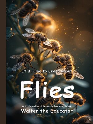 cover image of It's Time to Learn about Flies